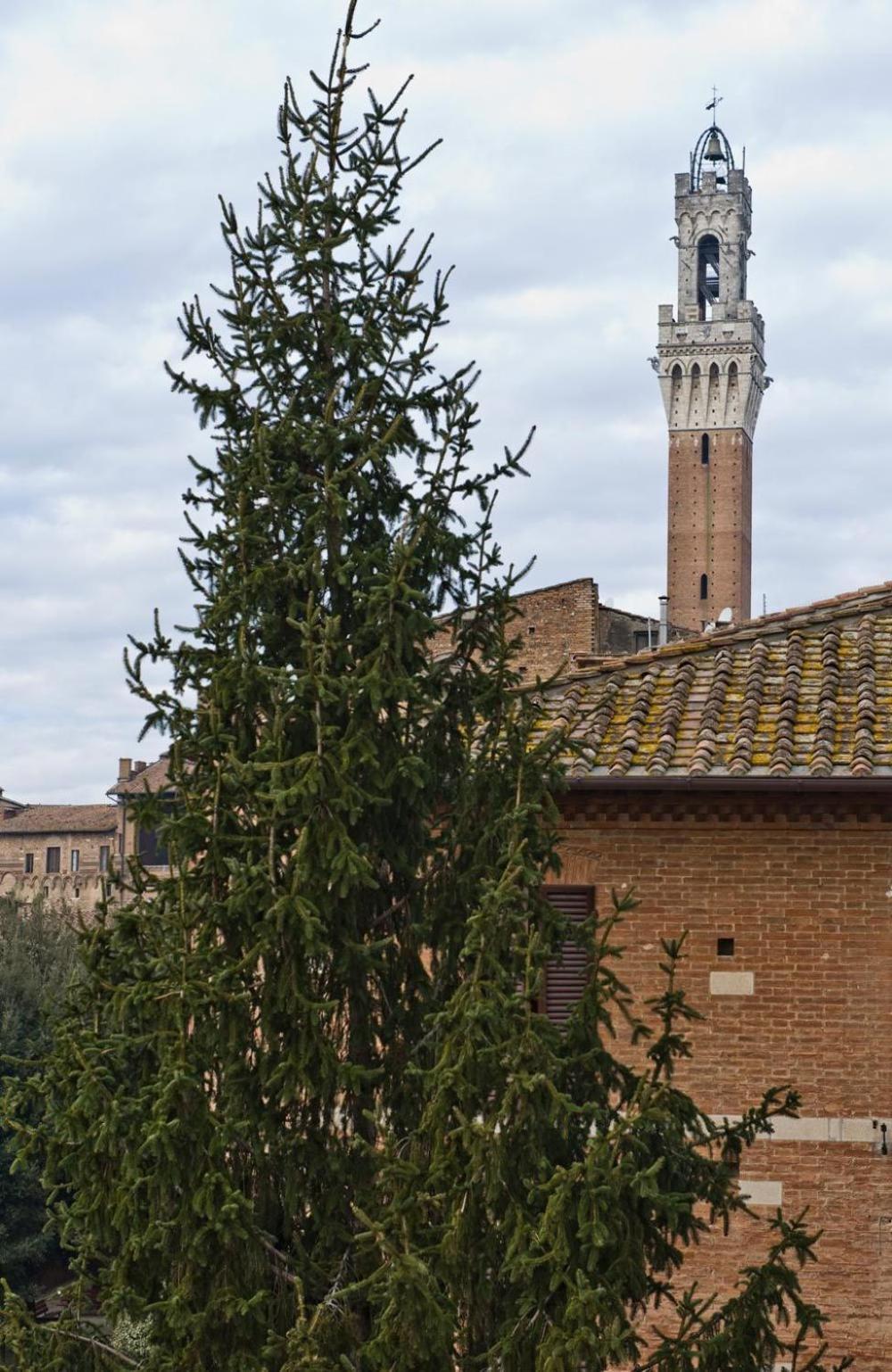 Pensión Vicolo Dell'oro *
